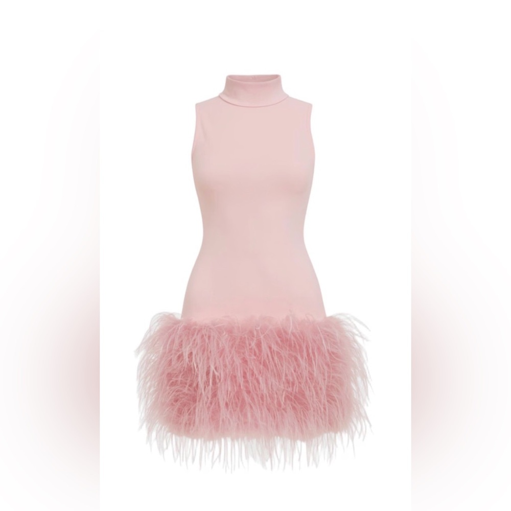 Elegant Pink Feathered Dress - Picture 2 of 2